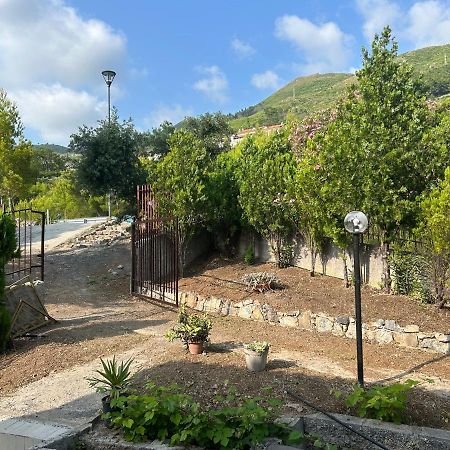 Villa Loren Praia a Mare Bagian luar foto