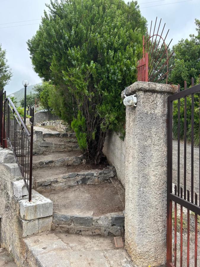Villa Loren Praia a Mare Bagian luar foto