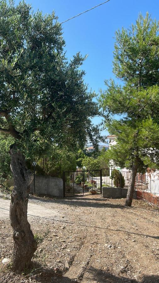 Villa Loren Praia a Mare Bagian luar foto